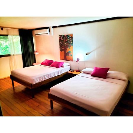 Cabinas Coconut Grove Puerto Viejo de Talamanca المظهر الخارجي الصورة