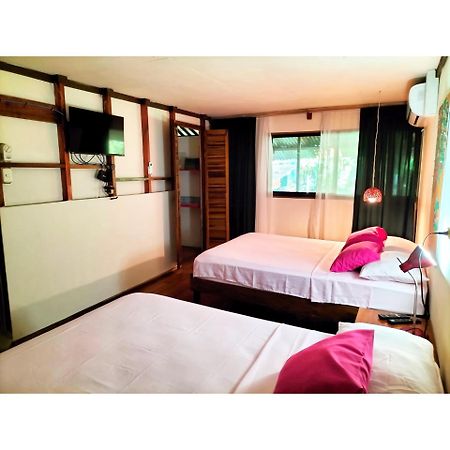 Cabinas Coconut Grove Puerto Viejo de Talamanca المظهر الخارجي الصورة