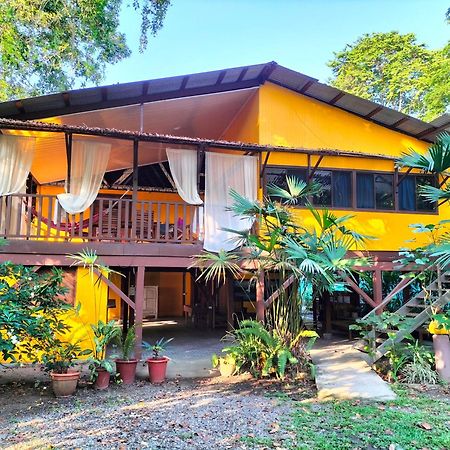 Cabinas Coconut Grove Puerto Viejo de Talamanca المظهر الخارجي الصورة