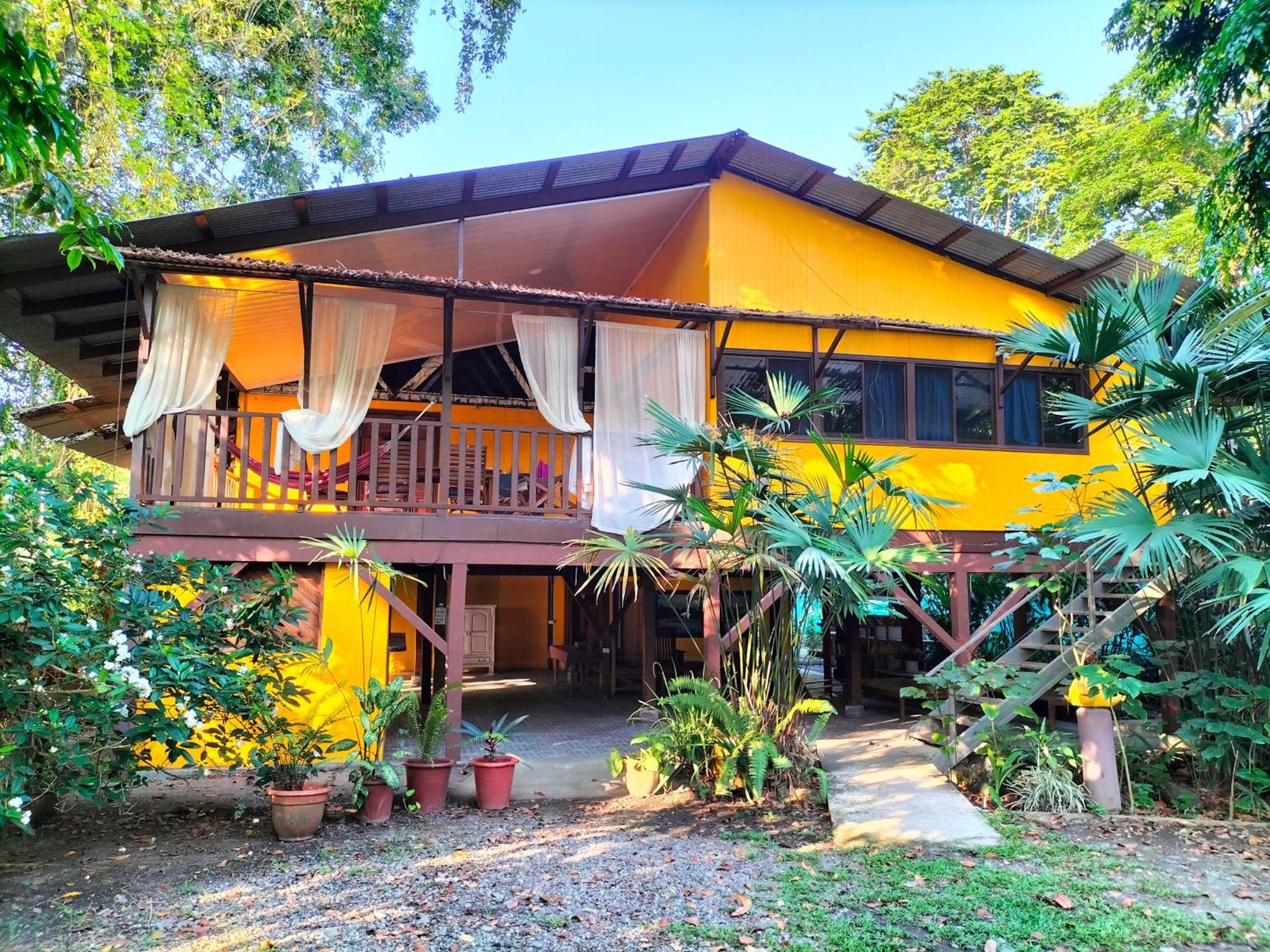 Cabinas Coconut Grove Puerto Viejo de Talamanca المظهر الخارجي الصورة