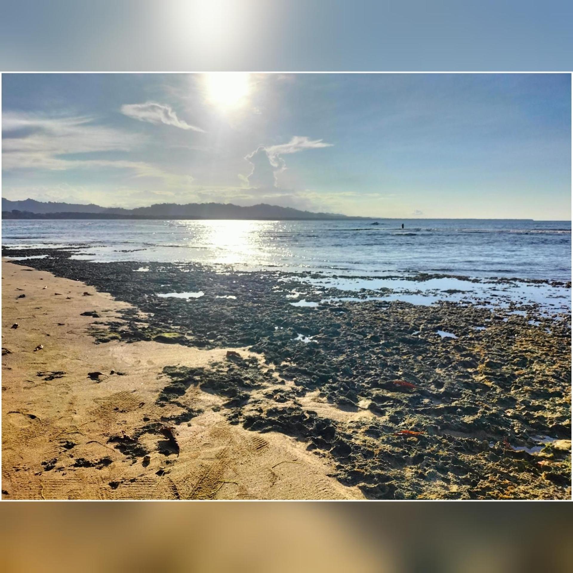 Cabinas Coconut Grove Puerto Viejo de Talamanca المظهر الخارجي الصورة