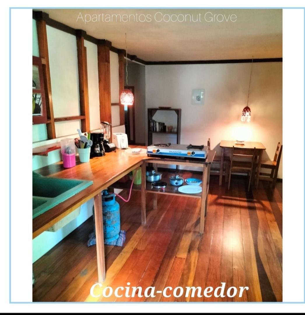 Cabinas Coconut Grove Puerto Viejo de Talamanca المظهر الخارجي الصورة
